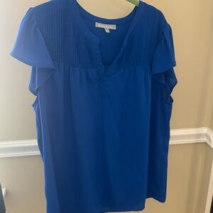Daniel Rainn Cobalt Blue Pintuck Yoke Flutter Sleeve Blouse
